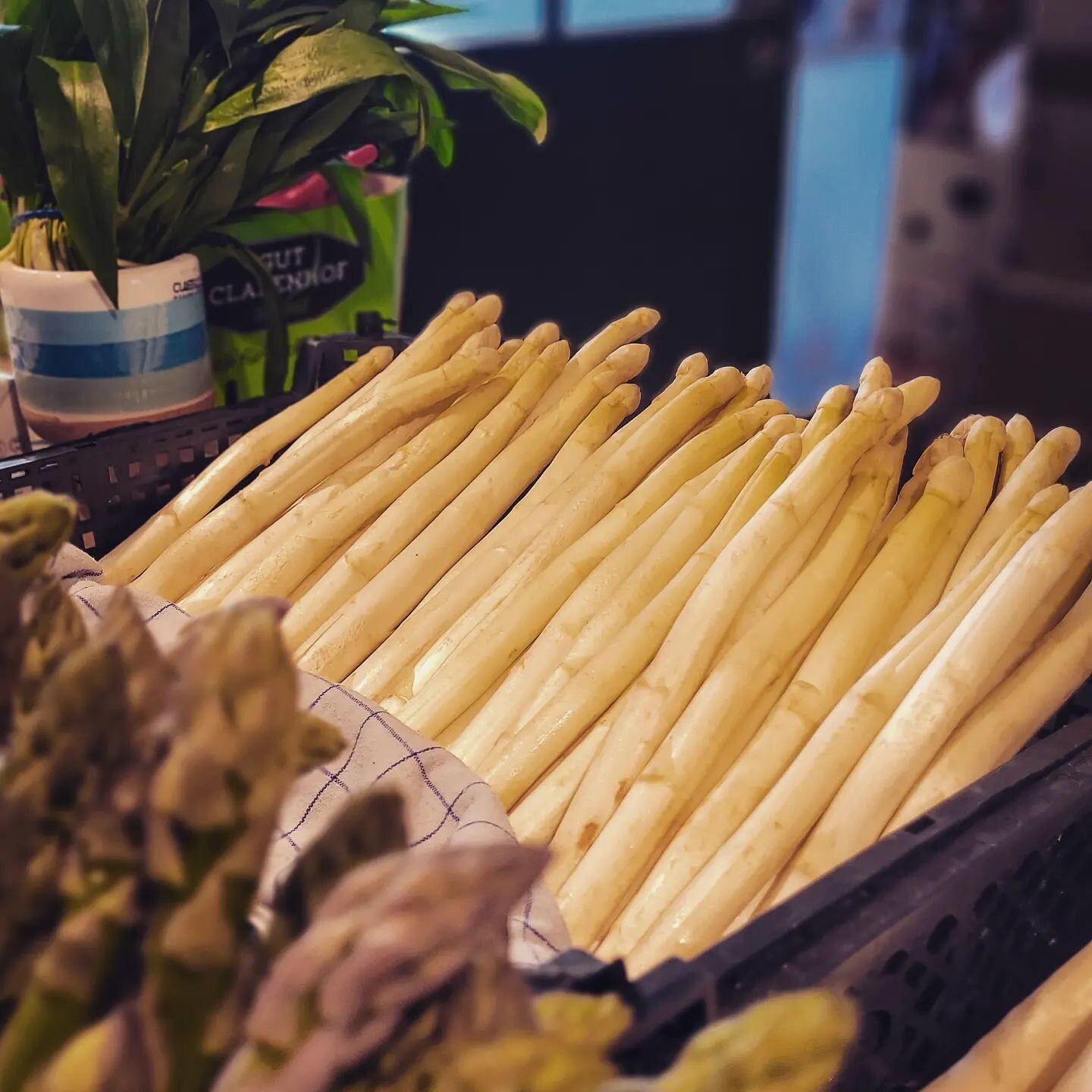 Top Spargel kaufen in Köln | Mr. Köln | Foto: Spargelhof Wermes Top Spargel kaufen in Köln | Mr. Köln | Foto: Spargelhof Wermes